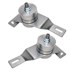 UPR LS Swap Adapter Plates with Adjustable Urethane Motor Mounts (fits Mustang)