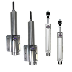 Viking Double Adj Strut & Shock Package (fits 79-04 Mustang)