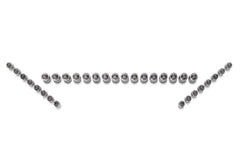 Ford Racing Ford GT and Mustang SVT 5.4L Lash Adjusters