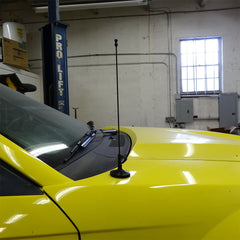 AMP Billet 14 inch Antenna Designer Tip Phantom Black (fits 79-09 Mustang)