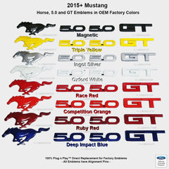 Emblem Package Color Coded fits 15-23 Mustang GT Ford Officially Licensed