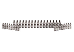 Ford Racing Ford GT and Mustang SVT 5.4L Lash Adjusters