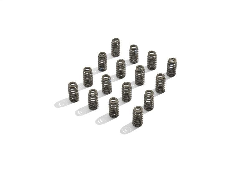 Ford Racing BOSS 302R Valve Spring Kit